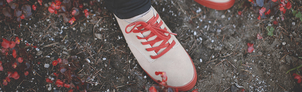 Css Template Preview